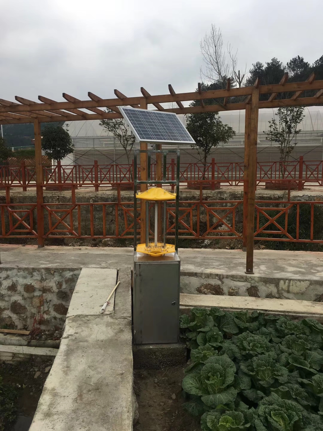 ̫��ܚ��x��